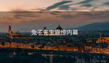 兔子先生震惊内幕