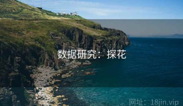 数据研究：探花