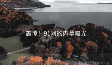 震惊！91网的内幕曝光