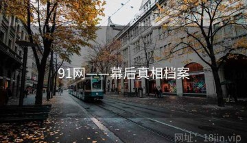 91网——幕后真相档案