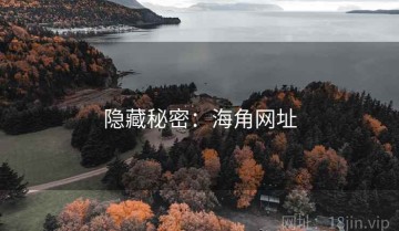 隐藏秘密：海角网址