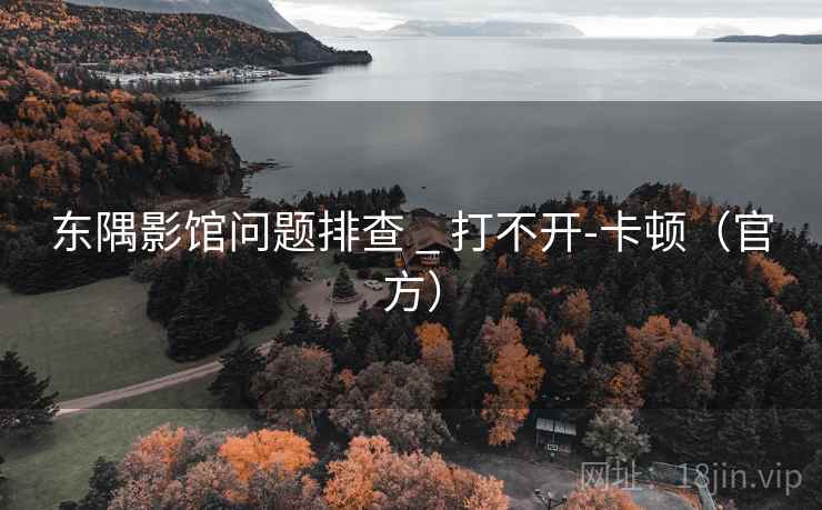 东隅影馆问题排查 _ 打不开-卡顿（官方）