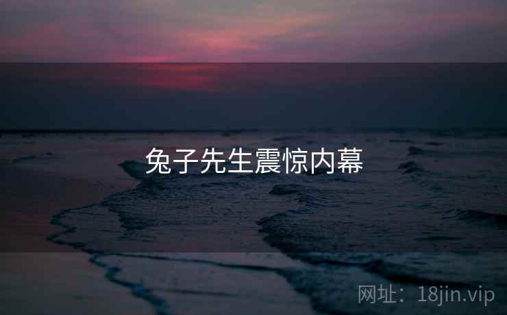 兔子先生震惊内幕 兔子先生震惊内幕