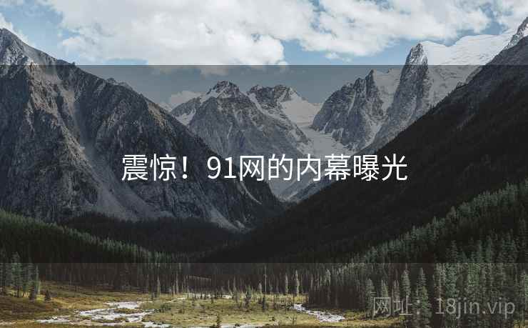 震惊！91网的内幕曝光