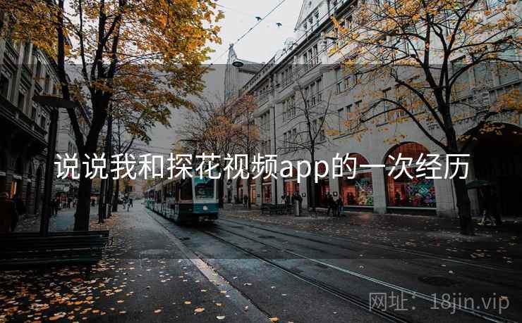 说说我和探花视频app的一次经历